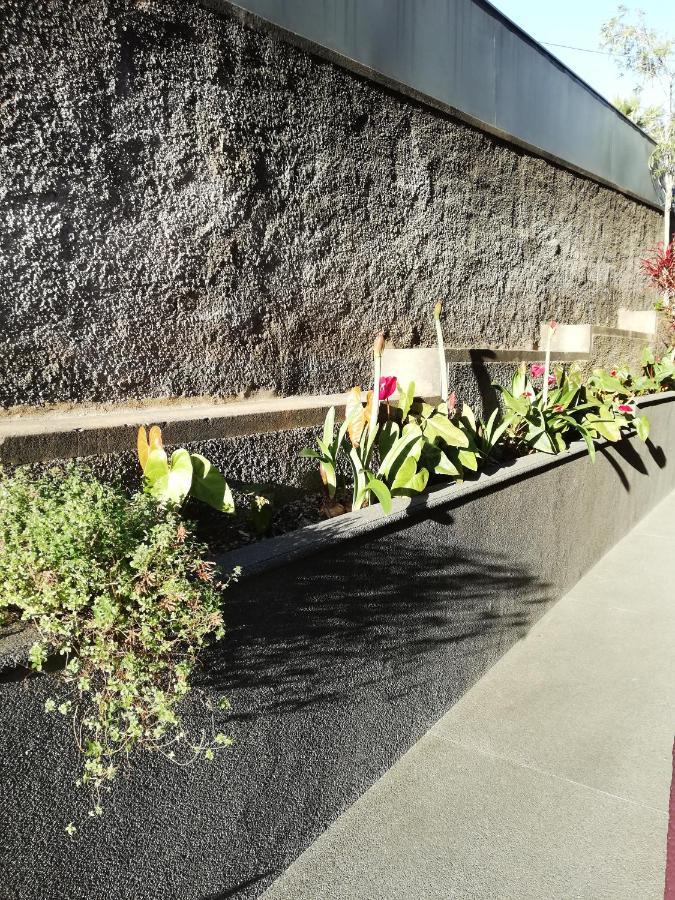 FX Carvalhal Funchal (Madeira) Exterior foto